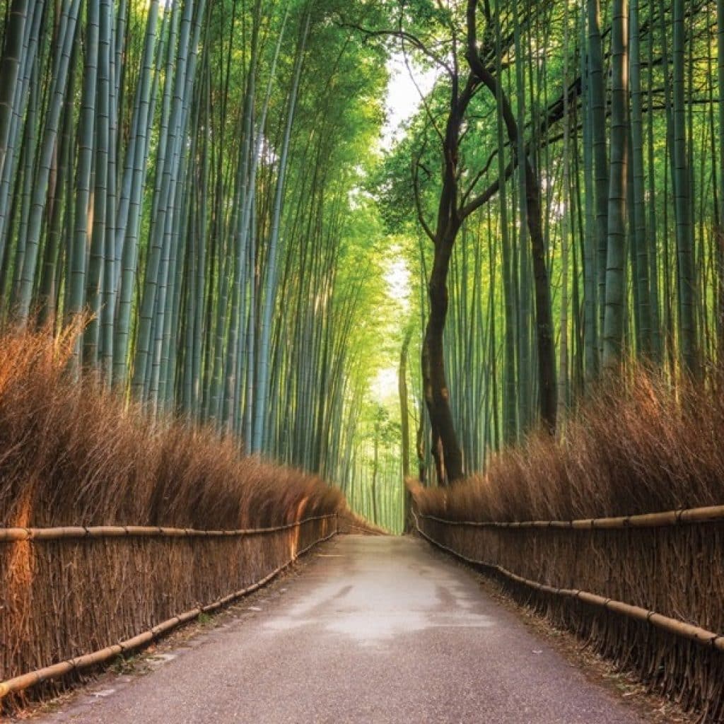 Kyoto, Japan 2