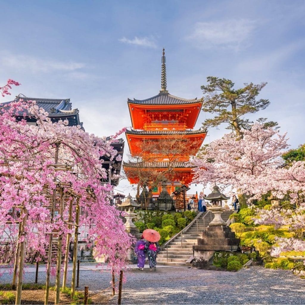 Kyoto, Japan 8