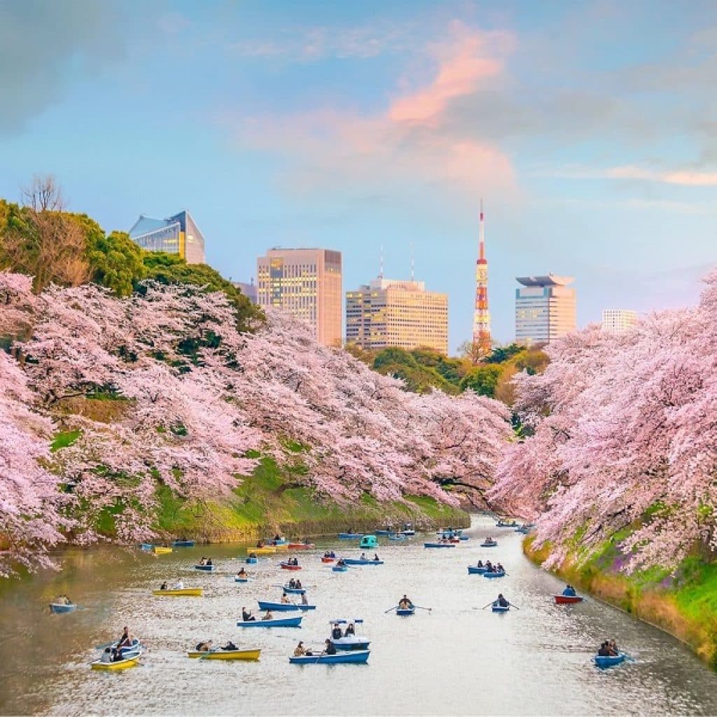 Tokyo, Japan 7