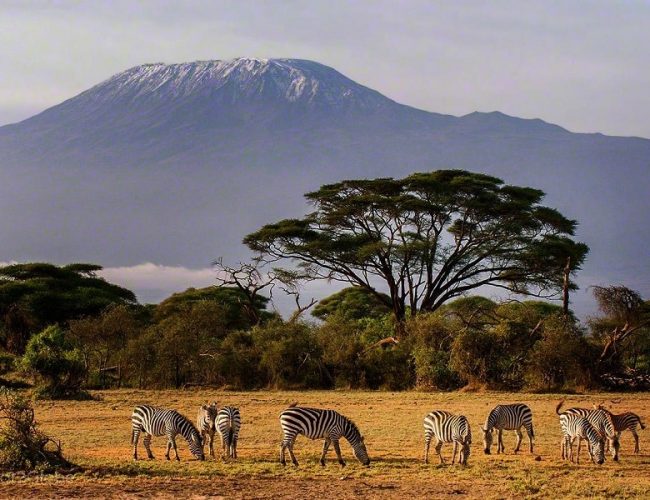 Amboseli, Kenya 2